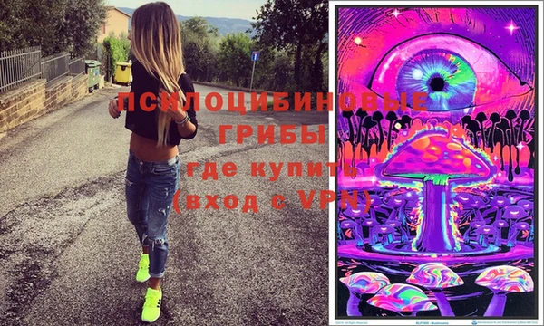 индика Богданович